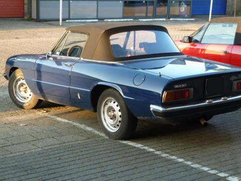 Afdekhoes (maathoes) Alfa Romeo Spider 70-93 blauw