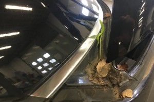 Onderhoud coupé / cabriodaken