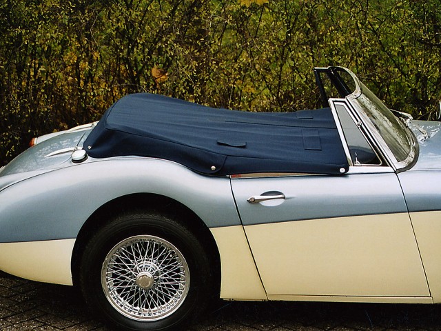 Austin Healey Tonneau Stayfast blauw